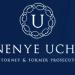 Nenye E. Uche, Attorney at Law in Chicago, Illinois city