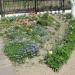 Flower bed in Homieĺ city