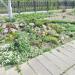 Flower bed in Homieĺ city