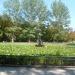 Lilies Pond in Sofia city