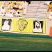 Al Wasl Stadium (en) في ميدنة مدينة دبــيّ 