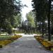 Public garden at the bus station