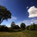 Cold Creek Conservation Area