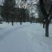 Парк им. Ю.А. Гагарина в городе Лисичанск