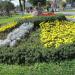 Flower bed in Homieĺ city