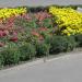 Flower bed in Homieĺ city