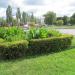 Flower bed in Homieĺ city