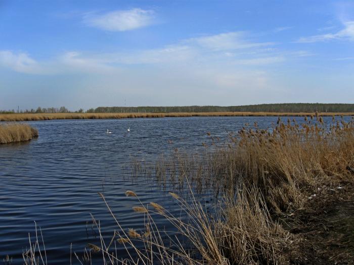 рыбалка на озере турпаново рыбалка на озере турпаново