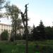 Памятник монтёру, спасающему кошку в городе Великий Новгород