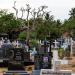 WALLEWEDIYA CEMETRY in Negombo city