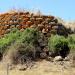 Nuraghe Piddio or Peddio