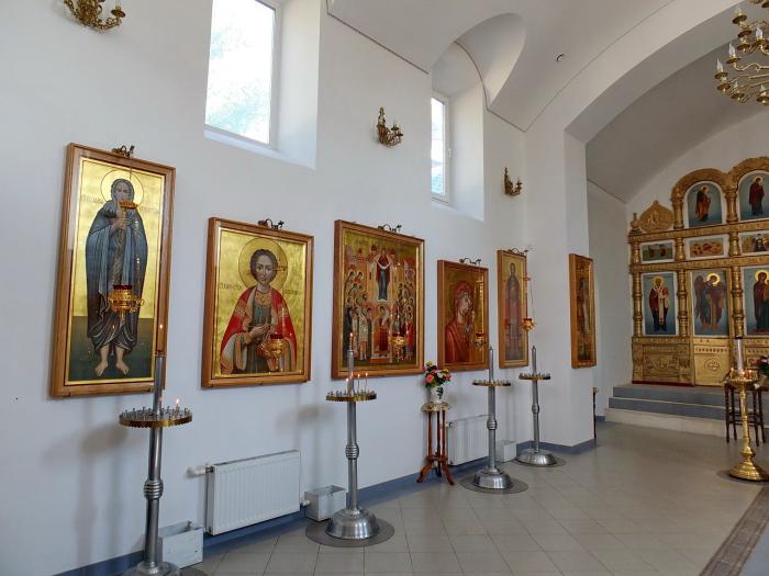Орхидея советская ул 50б село кагальник фото