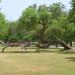 Bahawalpur Zoological Garden (Zoo)