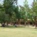 Bahawalpur Zoological Garden (Zoo)