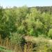 Водозаборник (водокачка) в городе Подольск