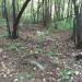 Кладбище домашних животных в городе Новое Девяткино