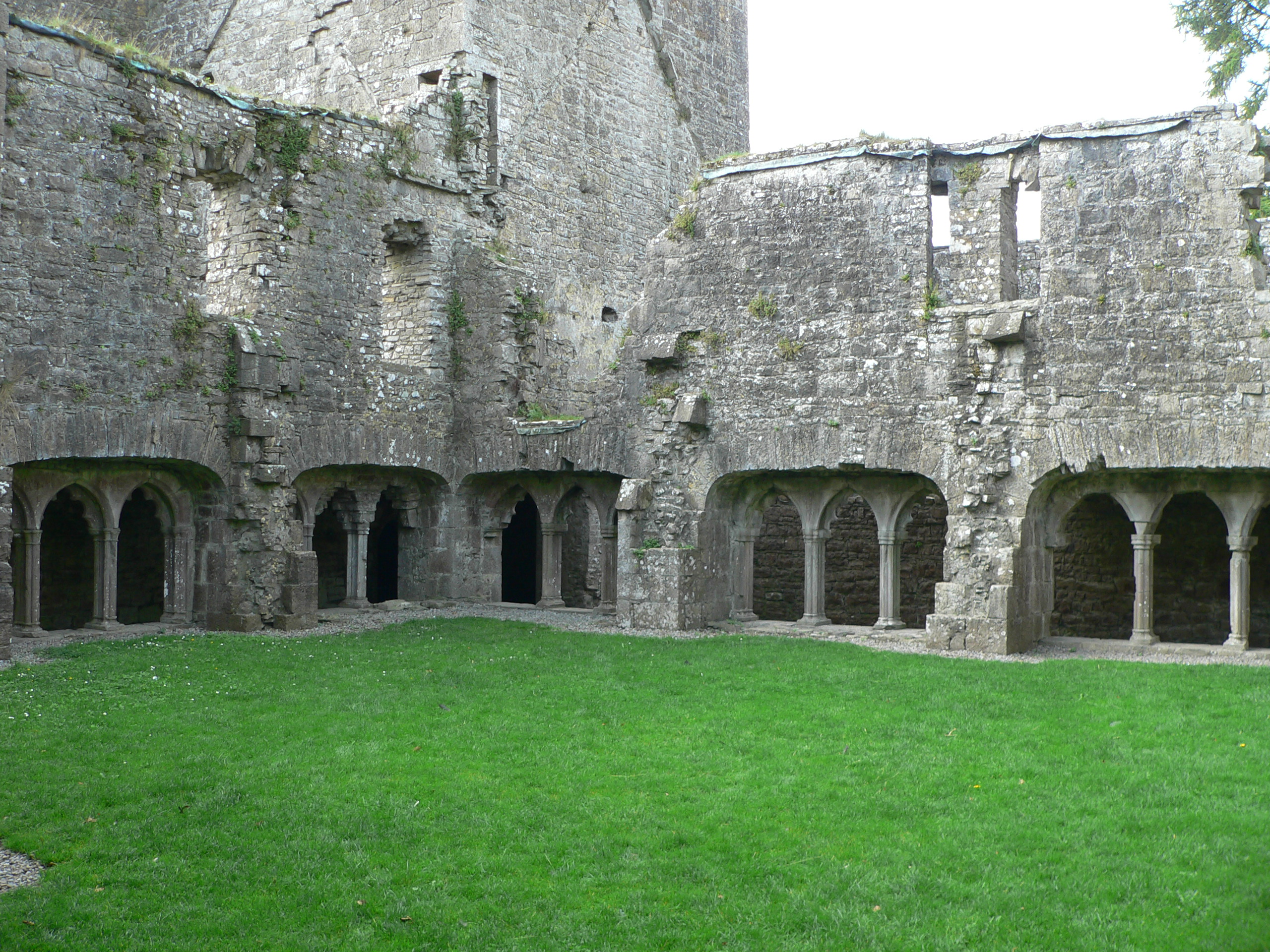 Bective Abbey