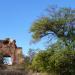 Belchite