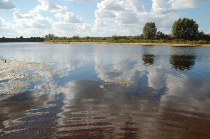 Деревня невское фото