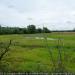 Longdon Marsh