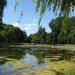 Park Fosa (d. Hibnera) (pl) in Warsaw city