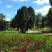 Park Fosa (d. Hibnera) (pl) in Warsaw city