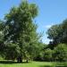 Park Fosa (d. Hibnera) (pl) in Warsaw city