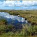 Roundstone Bog