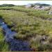 Roundstone Bog