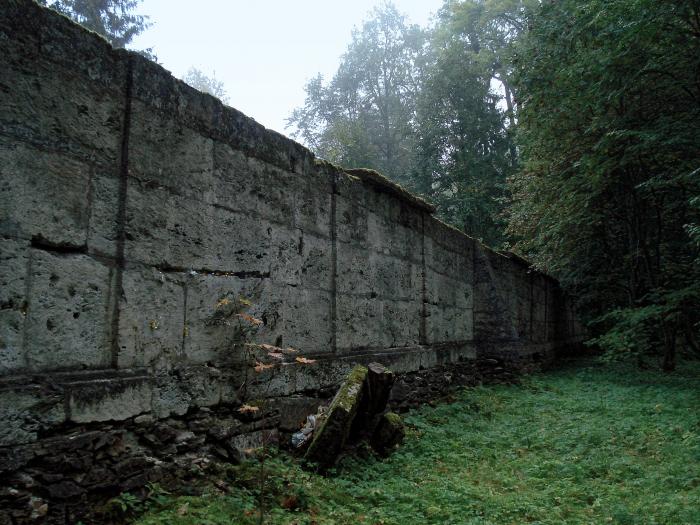 Сильвийская стена   Гатчина image 3