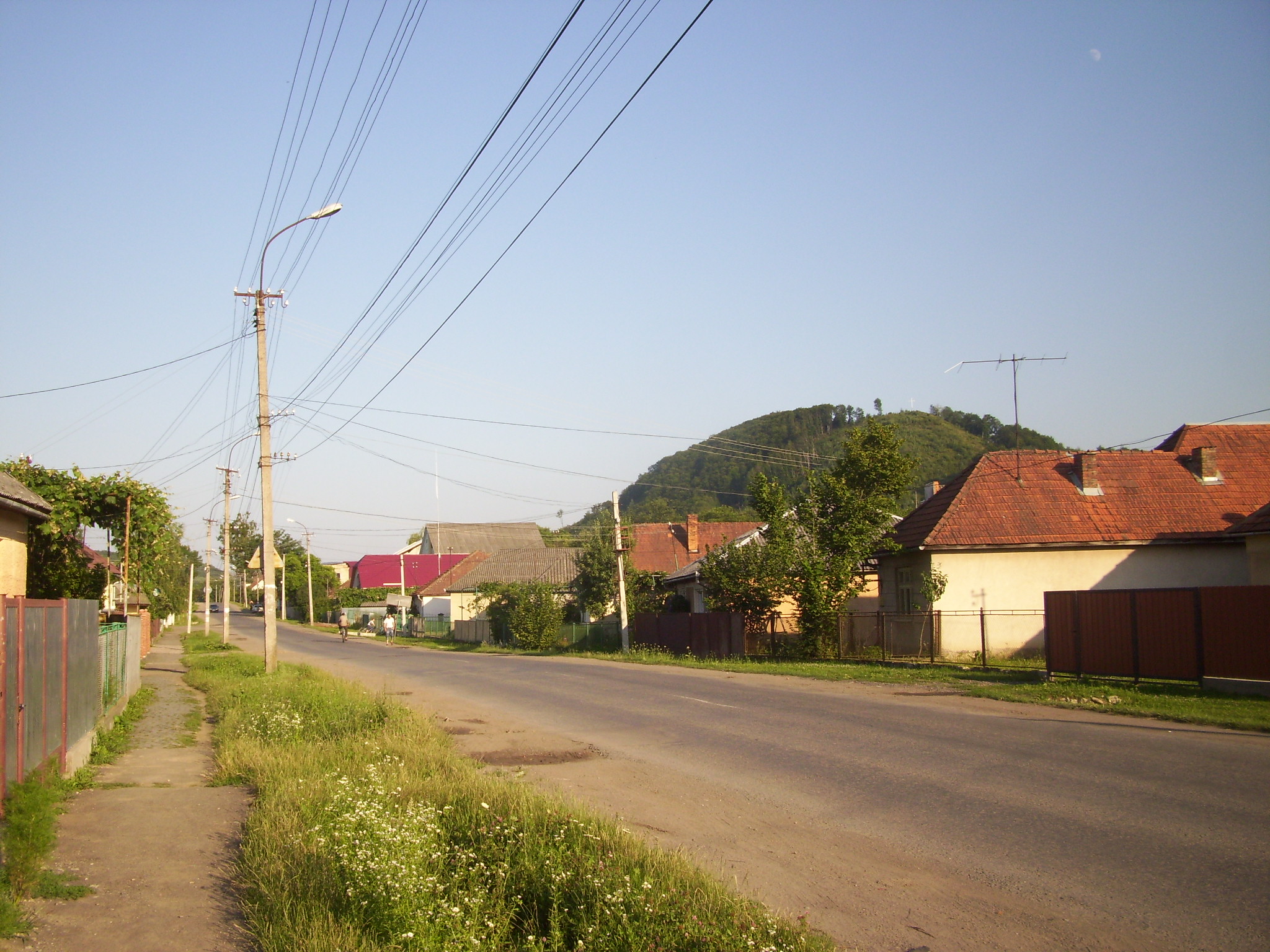 Svaliava