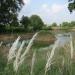 Sector 23 District Park Water Body in Delhi city