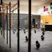 Crossfit Widia na Curitiba city