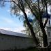 Северо-восточная стена в городе Великий Новгород
