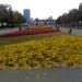 Цветник в городе Челябинск