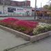 Цветник в городе Челябинск