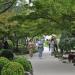 Japanese garden in Budapest city