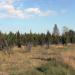 Можжевеловая роща (ru) in Uusi Laatokankaupunki city
