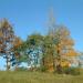 Park Piastowski in Gniezno city