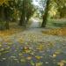 Park Piastowski in Gniezno city