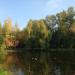 Пруд в городе Екатеринбург