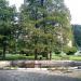 Staw in Sopot city
