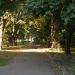 Park Stefana Wiecheckiego „Wiecha” (pl) in Warsaw city