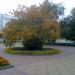 Клумба в городе Челябинск