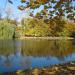 Park w stylu angielskim (pl) in Warsaw city