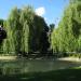 Staw Saski z wodotryskiem (pl) in Warsaw city