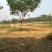 Hutan Kota ( gd )
