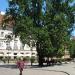 New Town Square, 13/15 in Warsaw city