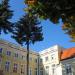 Borch Palace - Warsaw Metropolitan Curia in Warsaw city