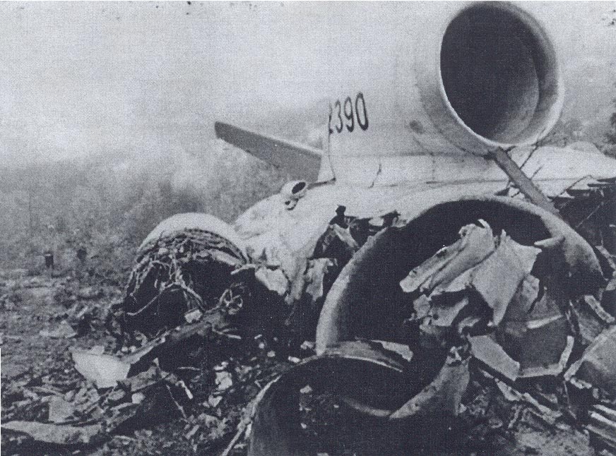 Avioimpex Flight 110